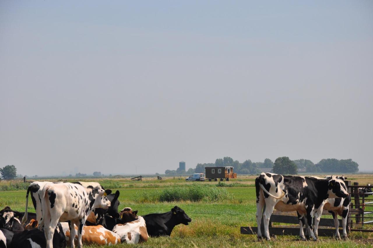 Your Cozy Waggon At The Cows' Paradise Amsterdam Exteriör bild
